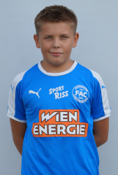 Raphael-König
